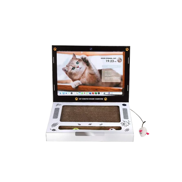 Cat Scratch Board Computer